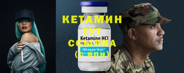 крисы Алексин