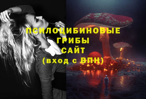 крисы Алексин