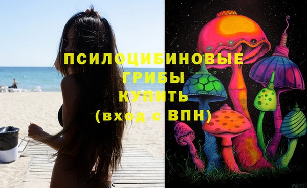 крисы Алексин