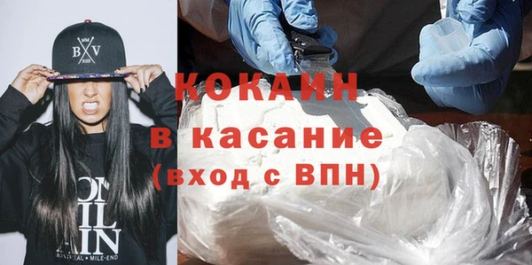 крисы Алексин
