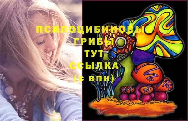 прущие крисы Алзамай