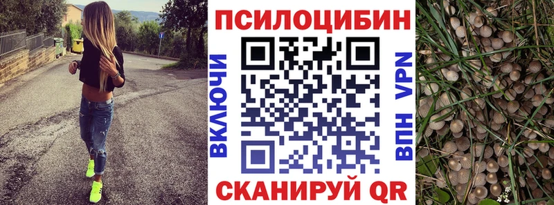 Псилоцибиновые грибы мухоморы  гидра ССЫЛКА  Стародуб  как найти закладки 